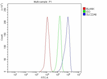 Flow Cytometry analysis of THP-1 cells using anti-OAT1 antibody. Overlay histogram showing THP-1 cells stained with (Blue line). The cells were fixed with 4% paraformaldehyde and blocked with 10% normal goat serum. And then incubated with rabbit anti-OAT1 antibody (1 ug/million cells) for 30 min at 20oC. DyLight 488 conjugated goat anti-rabbit IgG (5-10 ug/million cells) was used as secondary antibody for 30 minutes at 20oC. Isotype control antibody (Green line) was rabbit IgG (1 ug/million cells) used under the same conditions. Unlabelled sample without incubation with primary antibody and secondary antibody (Red line) was used as a blank control.