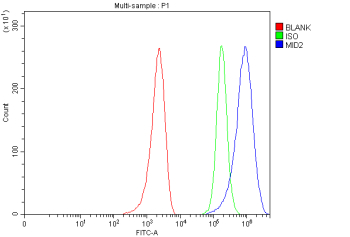 Flow Cytometry analysis of MCF-7 cells using anti-MID2 antibody. Overlay histogram showing MCF-7 cells stained with (Blue line). To facilitate intracellular staining, cells were fixed with 4% paraformaldehyde and permeabilized with permeabilization buffer. The cells were blocked with 10% normal goat serum. And then incubated with rabbit anti-MID2 antibody (1 ug/million cells) for 30 min at 20oC. DyLight 488 conjugated goat anti-rabbit IgG (5-10 ug/million cells) was used as secondary antibody for 30 minutes at 20oC. Isotype control antibody (Green line) was rabbit IgG (1 ug/million cells) used under the same conditions. Unlabelled sample without incubation with primary antibody and secondary antibody (Red line) was used as a blank control.