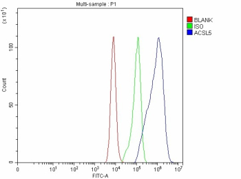 Flow Cytometry analysis of Caco-2 cells using anti-ACSL5 antibody. Overlay histogram showing Caco-2 cells stained with (Blue line). The cells were fixed with 4% paraformaldehyde and blocked with 10% normal goat serum. And then incubated with rabbit anti-ACSL5 antibody (1 ug/million cells) for 30 min at 20oC. DyLight 488 conjugated goat anti-rabbit IgG (5-10 ug/million cells) was used as secondary antibody for 30 minutes at 20oC. Isotype control antibody (Green line) was rabbit IgG (1 ug/million cells) used under the same conditions. Unlabelled sample without incubation with primary antibody and secondary antibody (Red line) was used as a blank control.