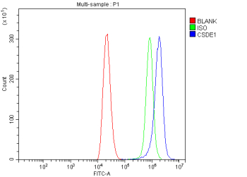 Flow Cytometry analysis of THP-1 cells using anti-CSDE1 antibody. Overlay histogram showing THP-1 cells stained with (Blue line). To facilitate intracellular staining, cells were fixed with 4% paraformaldehyde and permeabilized with permeabilization buffer. The cells were blocked with 10% normal goat serum. And then incubated with rabbit anti-CSDE1 antibody (1 ug/million cells) for 30 min at 20oC. DyLight 488 conjugated goat anti-rabbit IgG (5-10 ug/million cells) was used as secondary antibody for 30 minutes at 20oC. Isotype control antibody (Green line) was rabbit IgG (1 ug/million cells) used under the same conditions. Unlabelled sample without incubation with primary antibody and secondary antibody (Red line) was used as a blank control.