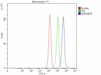 Flow Cytometry analysis of PC-3 cells using anti-ARHGEF6 antibody. Overlay histogram showing PC-3 cells stained with (Blue line). The cells were fixed with 4% paraformaldehyde and blocked with 10% normal goat serum. And then incubated with rabbit anti-ARHGEF6 antibody (1 ug/million cells) for 30 min at 20oC. DyLight 488 conjugated goat anti-rabbit IgG (5-10 ug/million cells) was used as secondary antibody for 30 minutes at 20oC. Isotype control antibody (Green line) was rabbit IgG (1 ug/million cells) used under the same conditions. Unlabelled sample without incubation with primary antibody and secondary antibody (Red line) was used as a blank control.