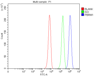 Flow Cytometry analysis of K562 cells using anti-PBRM1 antibody. Overlay histogram showing K562 cells stained with (Blue line). To facilitate intracellular staining, cells were fixed with 4% paraformaldehyde and permeabilized with permeabilization buffer. The cells were blocked with 10% normal goat serum. And then incubated with rabbit anti-PBRM1 antibody (1 ug/million cells) for 30 min at 20oC. DyLight 488 conjugated goat anti-rabbit IgG (5-10 ug/million cells) was used as secondary antibody for 30 minutes at 20oC. Isotype control antibody (Green line) was rabbit IgG (1 ug/million cells) used under the same conditions. Unlabelled sample without incubation with primary antibody and secondary antibody (Red line) was used as a blank control.