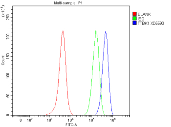 Flow Cytometry analysis of SH-SY5Y cells using anti-TTBK1 antibody. Overlay histogram showing SH-SY5Y cells stained with (Blue line). To facilitate intracellular staining, cells were fixed with 4% paraformaldehyde and permeabilized with permeabilization buffer. The cells were blocked with 10% normal goat serum. And then incubated with rabbit anti-TTBK1 antibody (1 ug/million cells) for 30 min at 20oC. DyLight 488 conjugated goat anti-rabbit IgG (5-10 ug/million cells) was used as secondary antibody for 30 minutes at 20oC. Isotype control antibody (Green line) was rabbit IgG (1 ug/million cells) used under the same conditions. Unlabelled sample without incubation with primary antibody and secondary antibody (Red line) was used as a blank control.