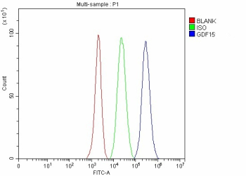 Flow Cytometry analysis of EL-4 cells using anti-Gdf15 antibody. Overlay histogram showing EL-4 cells stained with (Blue line). The cells were fixed with 4% paraformaldehyde and blocked with 10% normal goat serum. And then incubated with rabbit anti-Gdf15 antibody (1 ug/million cells) for 30 min at 20oC. DyLight 488 conjugated goat anti-rabbit IgG (5-10 ug/million cells) was used as secondary antibody for 30 minutes at 20oC. Isotype control antibody (Green line) was rabbit IgG (1 ug/million cells) used under the same conditions. Unlabelled sample without incubation with primary antibody and secondary antibody (Red line) was used as a blank control.