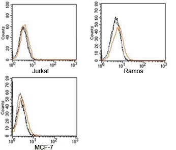 Rabbit IgG isotype control antibody FACS human samples