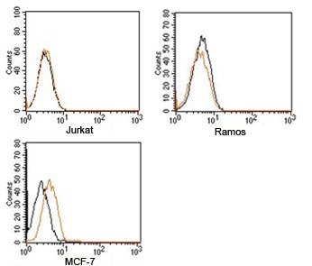 Rabbit IgG isotype control antibody PE conjugate FACS human samples