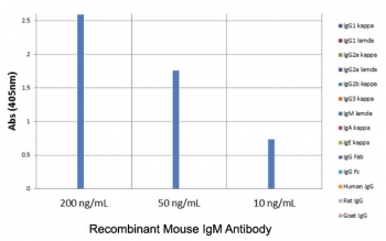 ELISA of mouse immunoglobulins shows the recombinant Mouse IgM antibody reacts to mouse IgM; no cross reactivity with IgG1, IgG2a, IgG2b, IgG3, IgA, IgE, human IgG, rat IgG, or goat IgG. The plate was coated with 50 ng/well of different immunoglobulins. 200 ng/mL, 50 ng/mL, or 10 ng/mL of RM109 was used as the primary and an alkaline phosphatase conjugated anti-rabbit IgG as the secondary.
