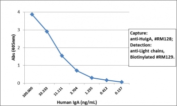 Sandwich ELISA of human IgA using the recombinant Human IgA antibody as the capture (100ng/well), and <a href=../tds/recombinant-human-ig-light-chains-antibody-rabbit-monoclonal-r20180btn>biotinylated anti-human light chains (Îº+Î») antibody</a>, clone RM129, as the detect, followed by an alkaline phosphatase conjugated streptavidin.