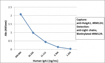 Sandwich ELISA using the recombinant human IgA1 antibody as the capture (100ng/well), and biotinylated anti-human light chains (κ+λ) antibody clone RM129 as the detect, followed by an alkaline phosphatase conjugated streptavidin.