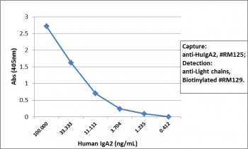 Sandwich ELISA of human IgA2 using recombinant Human IgA2 antibody as the capture (100ng/well), and biotinylated anti-human light chains (κ+λ) antibody RM129 as the detect, followed by an alkaline phosphatase conjugated streptavidin.