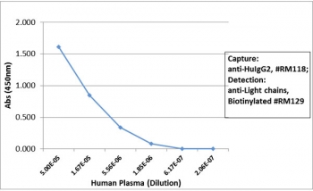 Sandwich ELISA with human plasma using recombinant Human IgG2 antibody as the capture, and biotinylated anti-human light chains (Îº+Î») antibody RM129 as the detect, followed by an AP conjugated streptavidin.