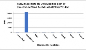 The  H3K9me2/K14ac antibody specifically reacts to Histone H3 only when modified at both dimethyl-lysine 9 and acetyl-lysine 14 (K9me2/K14ac). No cross reactivity with non-modified Lysine 9/14, methylated Lysine 9 (K9me1, k9me2, k9me3) ONLY, acetylated Lysine 9/14 ONLY, or methylated Lysine 14 (K14me2) ONLY, in Histone H3.