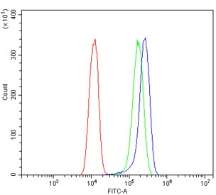 Flow cytometry testing of human A431 cells with BAG5 antibody at 1ug/million cells (blocked with goat sera); Red=cells alone, Green=isotype control, Blue= BAG5 antibody.