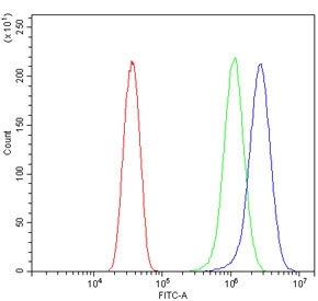 Flow cytometry testing of human HeLa cells with ATG7 antibody at 1ug/million cells (blocked with goat sera); Red=cells alone, Green=isotype control, Blue= ATG7 antibody.