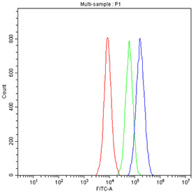 Flow cytometry testing of fixed and permeabilized human 293T cells with CREB antibody at 1ug/million cells (blocked with goat sera); Red=cells alone, Green=isotype control, Blue= CREB antibody.