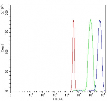Flow cytometry testing of fixed and permeabilized human SiHa cells with ITCH antibody at 1ug/million cells (blocked with goat sera); Red=cells alone, Green=isotype control, Blue= ITCH antibody.