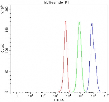 Flow cytometry testing of fixed and permeabilized human K562 cells with HDAC6 antibody at 1ug/million cells (blocked with goat sera); Red=cells alone, Green=isotype control, Blue= HDAC6 antibody.