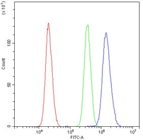 Flow cytometry testing of human U-2 OS cells with AKR1B1 antibody at 1ug/10^6 cells (blocked with goat sera); Red=cells alone, Green=isotype control, Blue= AKR1B1 antibody.