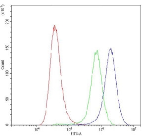 Flow cytometry testing of human A549 cells with APRT antibody at 1ug/10^6 cells (blocked with goat sera); Red=cells alone, Green=isotype control, Blue=APRT antibody.