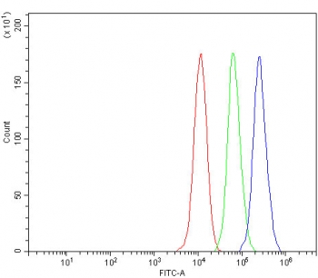 Flow cytometry testing of fixed and permeabilized human MCF7 cells with BMAL1 antibody at 1ug/million cells (blocked with goat sera); Red=cells alone, Green=isotype control, Blue= BMAL1 antibody.
