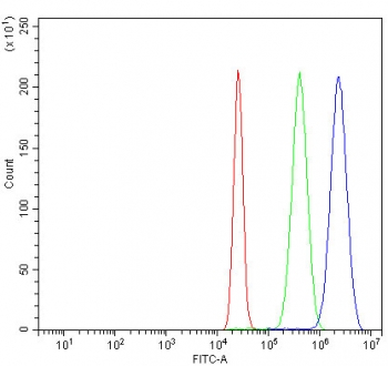 Flow cytometry testing of fixed and permeabilized human K562 cells with CHK1 antibody at 1ug/million cells (blocked with goat sera); Red=cells alone, Green=isotype control, Blue= CHK1 antibody.