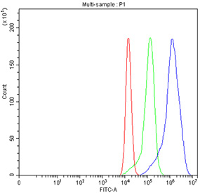 Flow cytometry testing of fixed human A549 cells with CD47 antibody at 1ug/million cells (blocked with goat sera); Red=cells alone, Green=isotype control, Blue= CD47 antibody.
