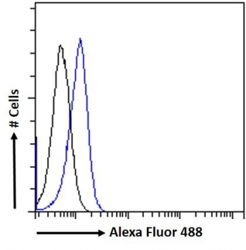 FACS testing of fixed and permeabilized human HEK293 cells with PLA2R1 antibody (blue) at 10ug/ml and naive goat Ig (black).