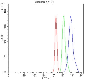 Flow cytometry testing of fixed and permeabilized human RT4 cells with FOXA1 antibody at 1ug/million cells (blocked with goat sera); Red=cells alone, Green=isotype control, Blue= FOXA1 antibody.