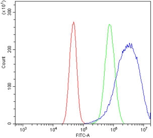 Flow cytometry testing of human A431 cells with BTG2 antibody at 1ug/million cells (blocked with goat sera); Red=cells alone, Green=isotype control, Blue= BTG2 antibody.
