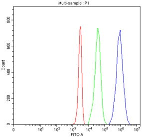 Flow cytometry testing of human Jurkat cells with CD5 antibody at 1ug/million cells (blocked with goat sera); Red=cells alone, Green=isotype control, Blue= CD5 antibody.
