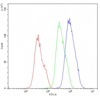 Flow cytometry testing of human PC-3 cells with PRKAB2 antibody at 1ug/10^6 cells (blocked with goat sera); Red=cells alone, Green=isotype control, Blue= PRKAB2 antibody.