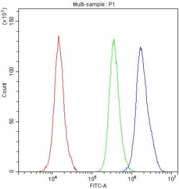 Flow cytometry testing of fixed and permeabilized human A431 cells with NRF1 antibody at 1ug/million cells (blocked with goat sera); Red=cells alone, Green=isotype control, Blue= NRF1 antibody.
