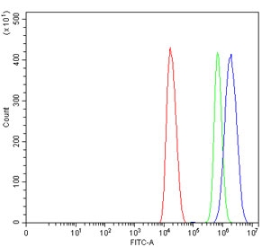 Flow cytometry testing of mouse HEPA1-6 cells with METTL3 antibody at 1ug/million cells (blocked with goat sera); Red=cells alone, Green=isotype control, Blue= METTL3 antibody.