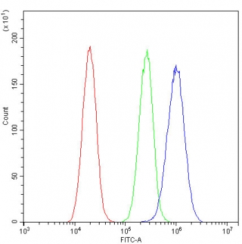 Flow cytometry testing of fixed and permeabilized human A549 cells with ROBO1 antibody at 1ug/million cells (blocked with goat sera); Red=cells alone, Green=isotype control, Blue= ROBO1 antibody.