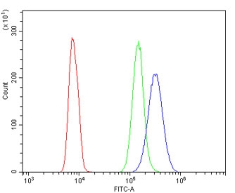 Flow cytometry testing of human HL60 cells with ABCB5 antibody at 1ug/million cells (blocked with goat sera); Red=cells alone, Green=isotype control, Blue= ABCB5 antibody.