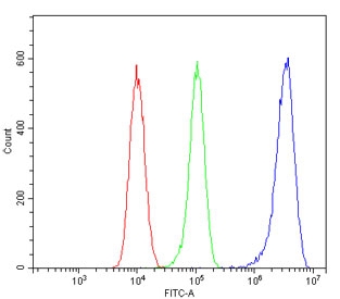 Flow cytometry testing of human 293T cells with PRMT5 antibody at 1ug/million cells (blocked with goat sera); Red=cells alone, Green=isotype control, Blue= PRMT5 antibody.
