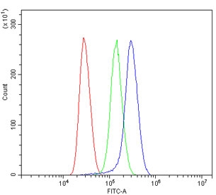Flow cytometry testing of human Jurkat cells with Alpha 1 Catenin antibody at 1ug/million cells (blocked with goat sera); Red=cells alone, Green=isotype control, Blue= Alpha 1 Catenin antibody.