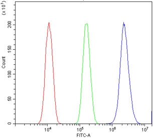 Flow cytometry testing of human A431 cells with TIF1 alpha antibody at 1ug/million cells (blocked with goat sera); Red=cells alone, Green=isotype control, Blue= TRIM24 antibody.