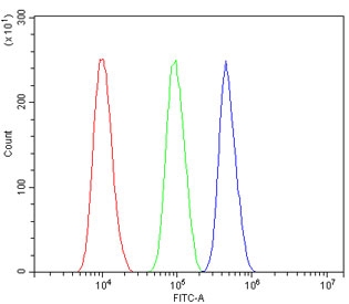 Flow cytometry testing of human SiHa cells with ASXL1 antibody at 1ug/million cells (blocked with goat sera); Red=cells alone, Green=isotype control, Blue= ASXL1 antibody.
