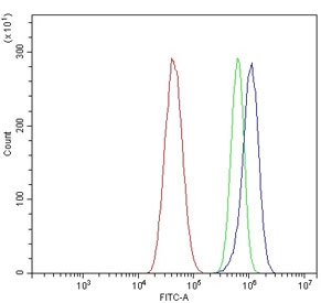 Flow cytometry testing of human U-87 MG cells with KCNA1 antibody at 1ug/million cells (blocked with goat sera); Red=cells alone, Green=isotype control, Blue= KCNA1 antibody.