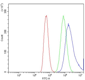 Flow cytometry testing of human A549 cells with TRPA1 antibody at 1ug/million cells (blocked with goat sera); Red=cells alone, Green=isotype control, Blue= TRPA1 antibody.