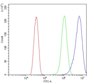 Flow cytometry testing of human HeLa cells with WASL antibody at 1ug/million cells (blocked with goat sera); Red=cells alone, Green=isotype control, Blue= WASL antibody.