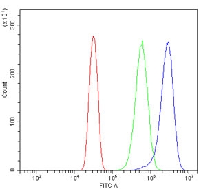 Flow cytometry testing of human U-2 OS cells with SCN2A antibody at 1ug/million cells (blocked with goat sera); Red=cells alone, Green=isotype control, Blue= SCN2A antibody.