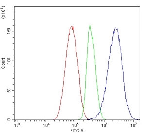 Flow cytometry testing of human HepG2 cells with APOA5 antibody at 1ug/million cells (blocked with goat sera); Red=cells alone, Green=isotype control, Blue= APOA5 antibody.
