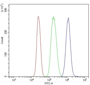 Flow cytometry testing of human U937 cells with CXCR4 antibody at 1ug/million cells (blocked with goat sera); Red=cells alone, Green=isotype control, Blue= CXCR4 antibody.