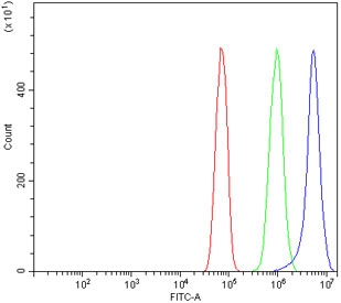 Flow cytometry testing of rat RH35 cells with Timp1 antibody at 1ug/million cells (blocked with goat sera); Red=cells alone, Green=isotype control, Blue= Timp1 antibody.