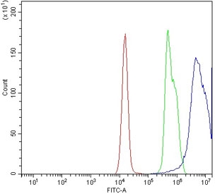 Flow cytometry testing of human JK-1 cells with CXCR4 antibody at 1ug/million cells (blocked with goat sera); Red=cells alone, Green=isotype control, Blue= CXCR4 antibody.