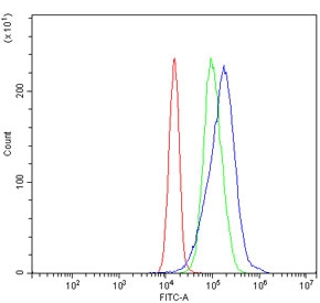 Flow cytometry testing of human JK-1 cells with MAT II beta antibody at 1ug/million cells (blocked with goat sera); Red=cells alone, Green=isotype control, Blue= MAT II beta antibody.