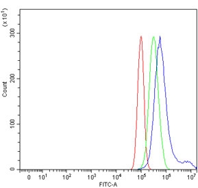 Flow cytometry testing of human PC-3 cells with TCPTP antibody at 1ug/million cells (blocked with goat sera); Red=cells alone, Green=isotype control, Blue= TCPTP antibody.