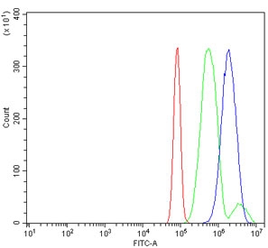 Flow cytometry testing of rat RH35 cells with Huntingtin interacting protein 2 antibody at 1ug/million cells (blocked with goat sera); Red=cells alone, Green=isotype control, Blue= Huntingtin interacting protein 2 antibody.